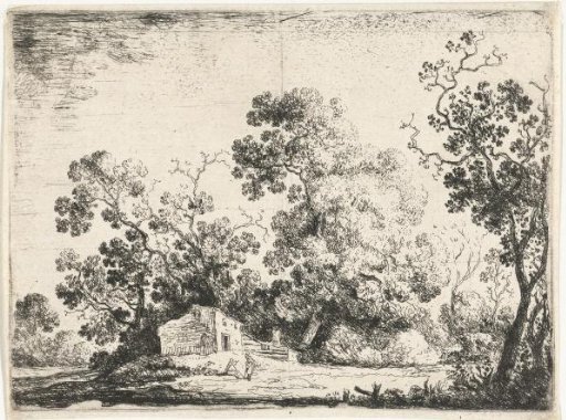 Landscape with a house at the edge of the forest