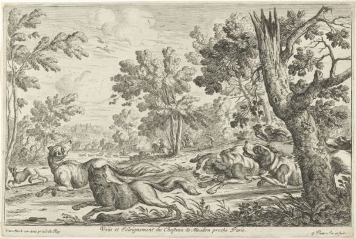 Fox Hunt