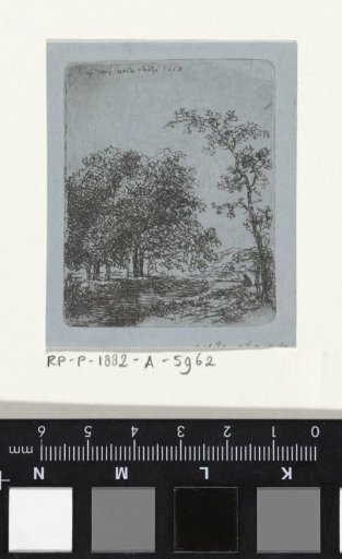 Fisherman by a river in a forest