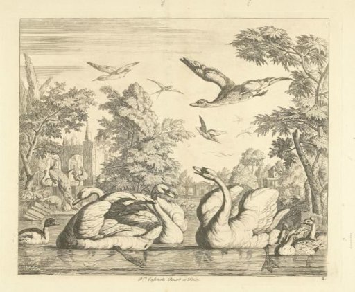 Three Swans and Other Birds by a Pond