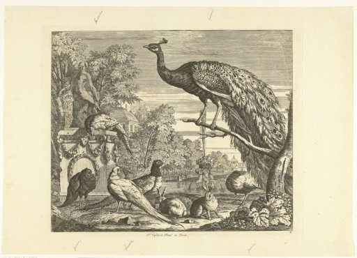Peacock, Rabbits, and Other Birds by a Garden Fountain