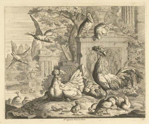 Rooster, Hen with Chicks, and Other Birds in a Garden with Antique Ruins