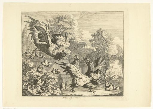 Cockfight
