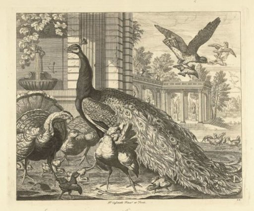 Peacock and Turkey by a Garden Colonnade