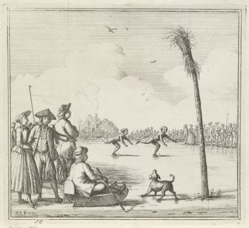 A Skating Race