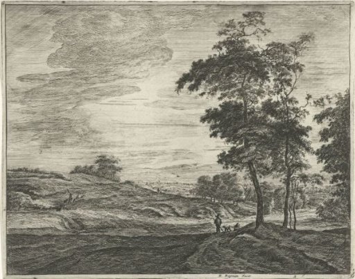 At the Edge of the Hague Forest