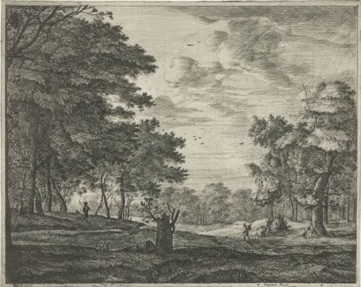 Walker in the Hague Forest