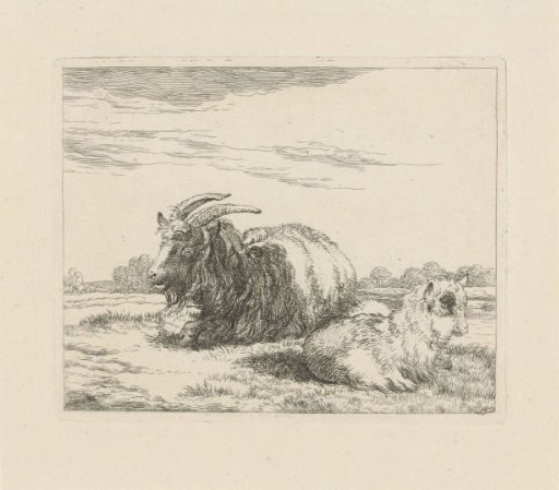 Lying billy goat and kid