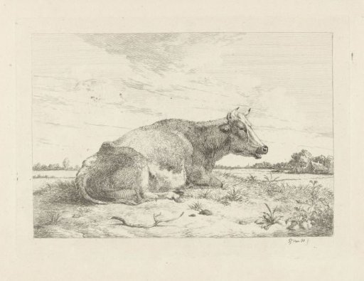 Reclining cow with thistle