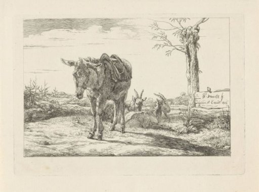 A donkey and two goats