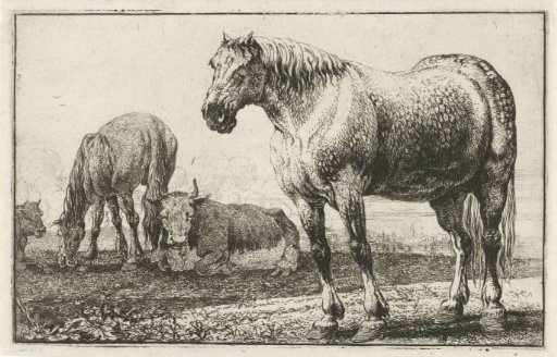 Horses and cows