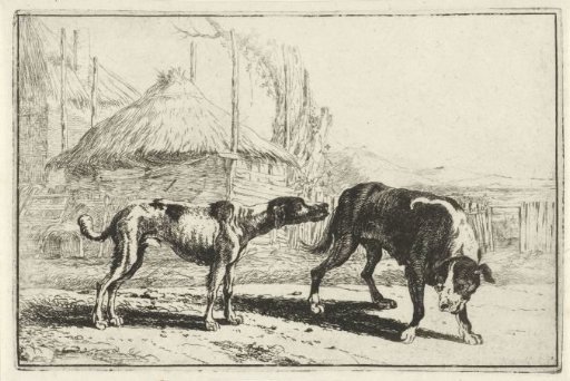 Male and female dog