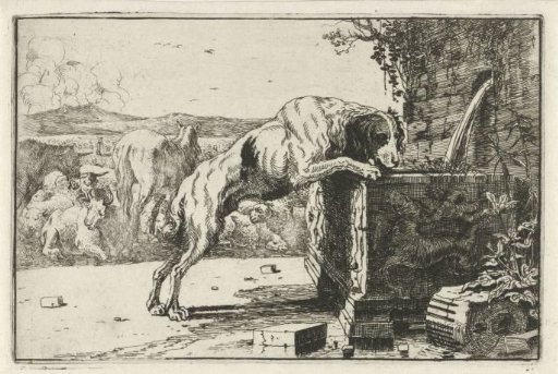 Drinking dog