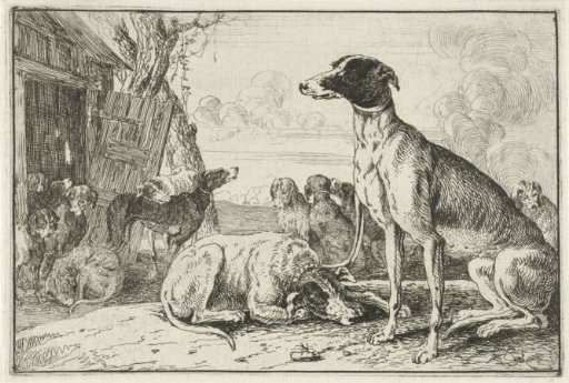 Dog kennel