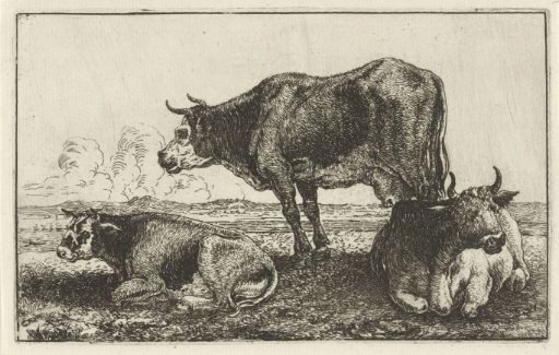 Three cows