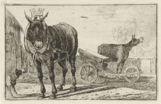 Two donkeys