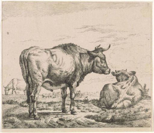 Standing and Lying Bull