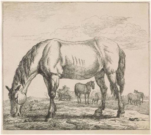 Grazing Horse