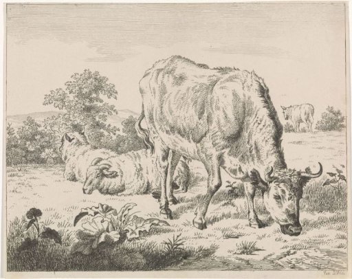 Grazing Cow by Two Sheep