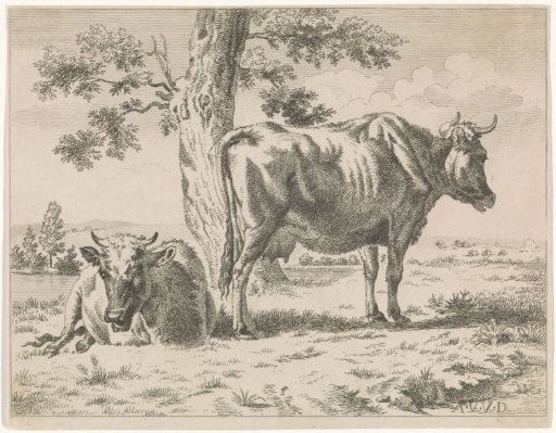 Two Cows by a Tree