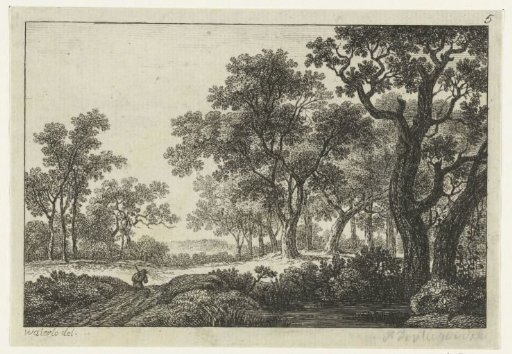 Path Through the Forest