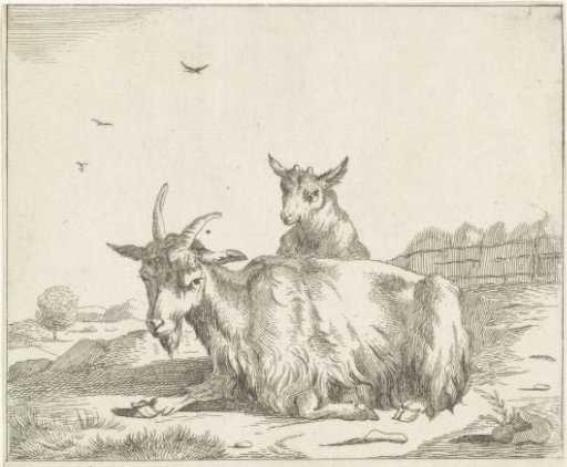 Lying goat with lamb