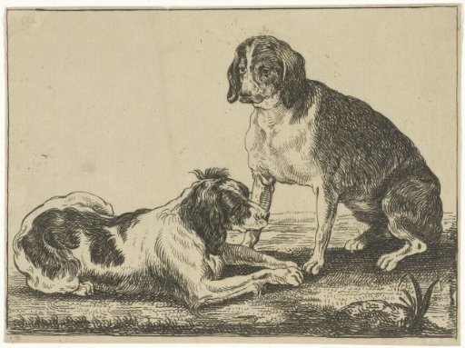 Two resting dogs