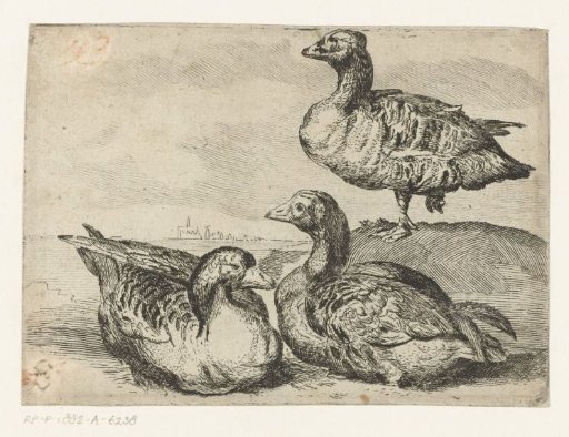Three Geese
