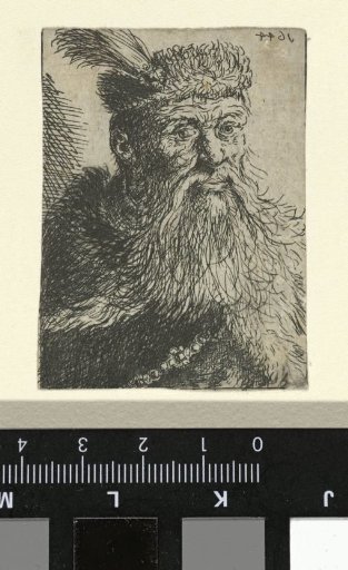 Bust of a Polish gentleman