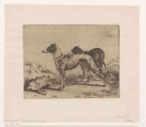Two greyhounds by a dead hare
