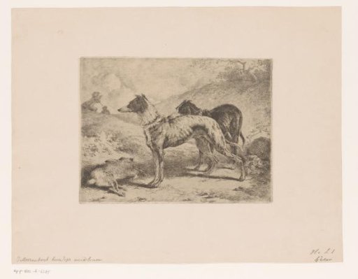 Two greyhounds by a dead hare