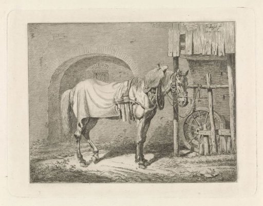 Harnessed Horse on a Lead