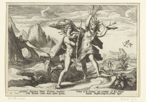 Daphne Transformed into a Laurel Tree