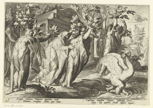 The Sisters of Phaëthon Transformed into Poplars and His Friend into a Swan
