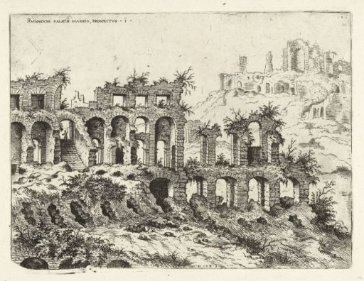 View of the Colosseum and the Palatine