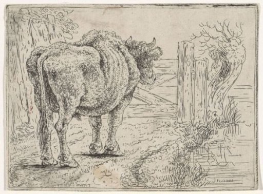 Standing Bull