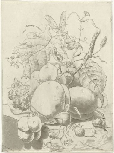 Fruit and a branch with a butterfly