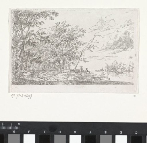 Landscape with forest and river