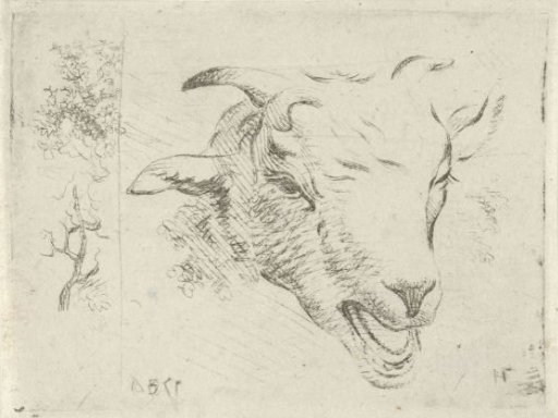 Study sheet with a goat's head