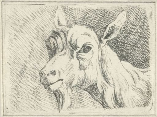 Goat's head, facing left