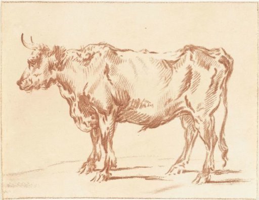 Standing ox