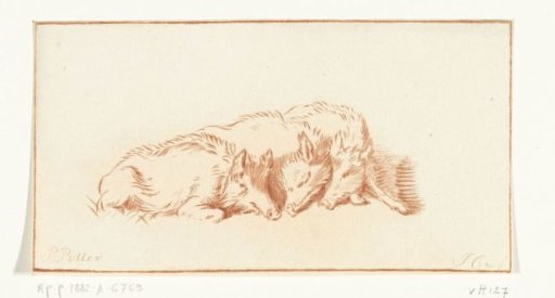 Three swine lying down