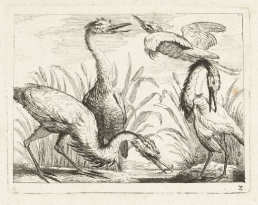 Herons by a Pool