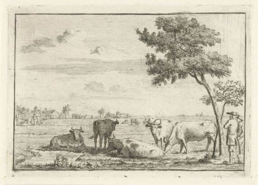 Five cows in a meadow