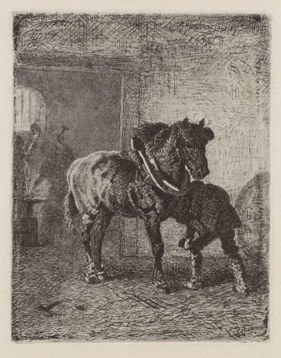 Horse being shod in a smithy