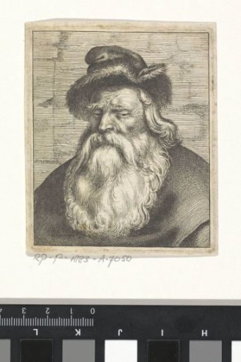 Bust of a Man with a Long Beard and a Cap on His Head