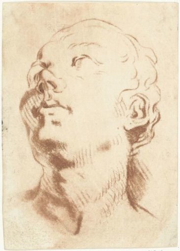 Study sheet with a head, the gaze directed upwards