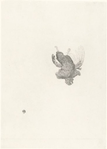 Woman with a basket of fruit in her hand by the window