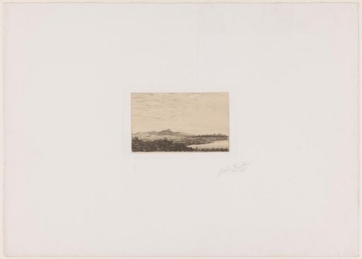 Dune landscape
