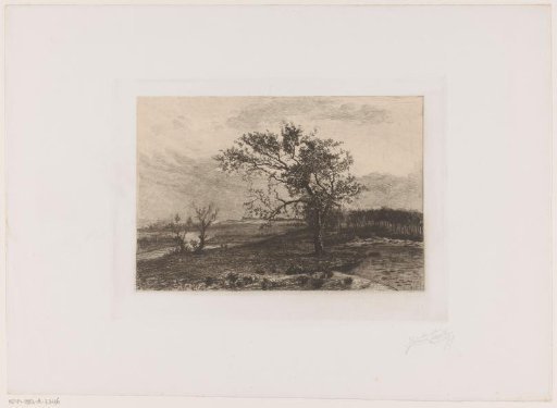 Landscape in the Kempen